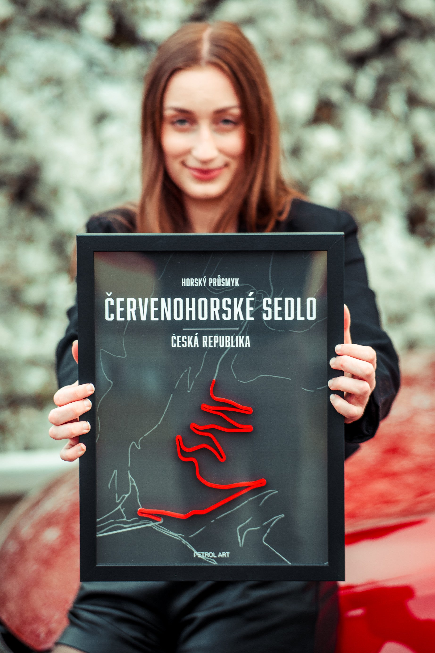3D obraz Horský průsmyk Červenohorské sedlo